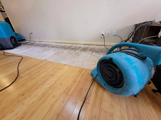 Professional Emergency Water Damage technician working in Daphne, AL